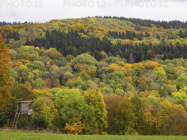 View of mixed woodland in autumn colour, in the Rhön UNESCO Biosphere nature reserve, county