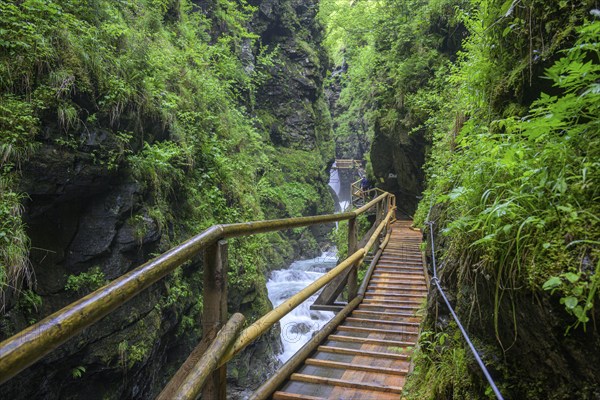 Climbing facility in the Raggaschlucht gorge, Flattach, Carinthia, Austria, Europe