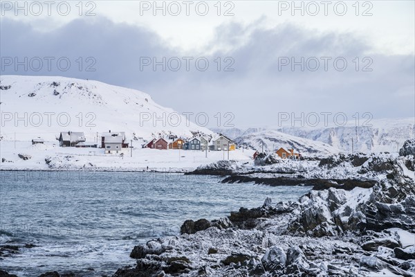 Colourful houses in a snowy landscape, fishing village Kongsfjord, Berlevåg, Varanger Peninsula,