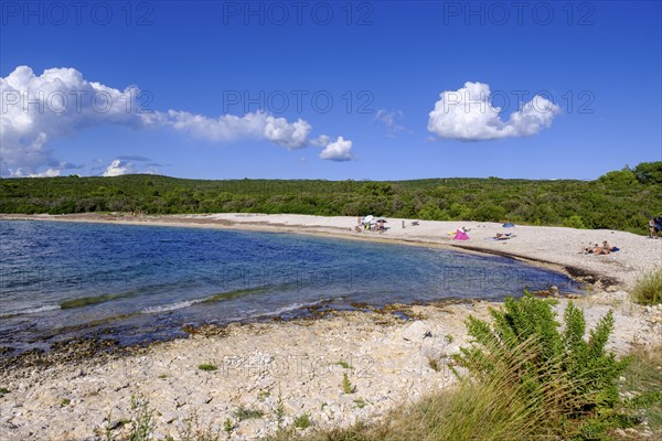 Beach, bay, Plaža Liska Slatina, Mali Losinj, island of Losinj, Kvarner Gulf Bay, Croatia, Europe