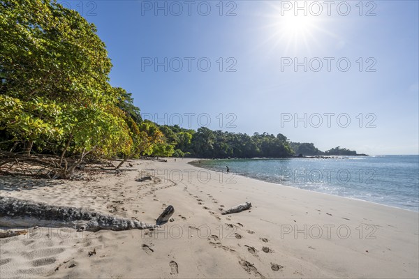 Idyllic tropical sandy beach, Playa Escondida, Manuel Antonio National Park, Puntarenas district,