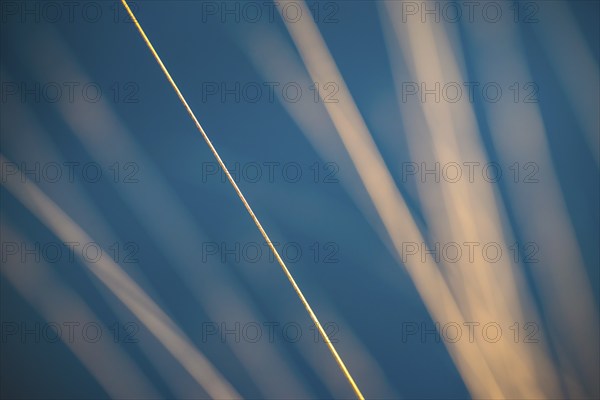 Stalks of moor grass (Molinia) glow in front of dark, blue moor water in the warm light of the