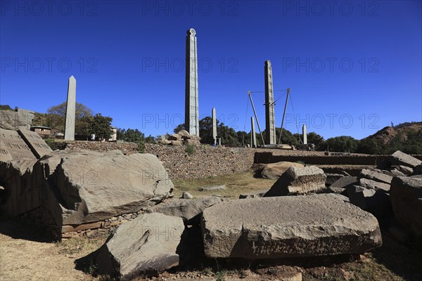 Tigray region, in the stele park of Axum, Aksum, ancient cemetery of the Axumite kings, Ethiopia,