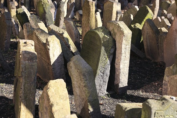 The Old Jewish Cemetery in the Josefov district is one of the most historically significant Jewish
