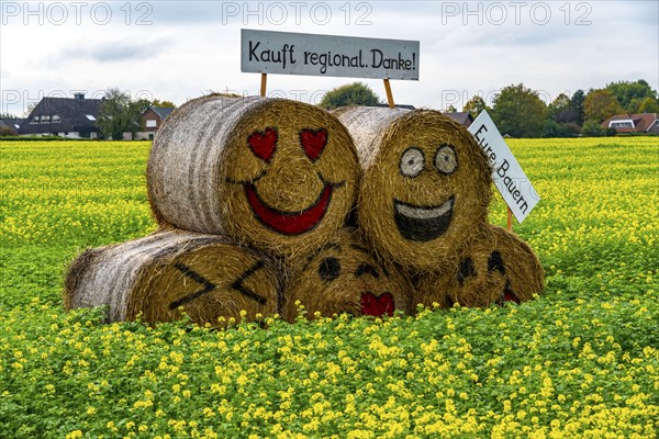 Advertising for regional purchasing, from farmers in the region, straw bales in a rapeseed field