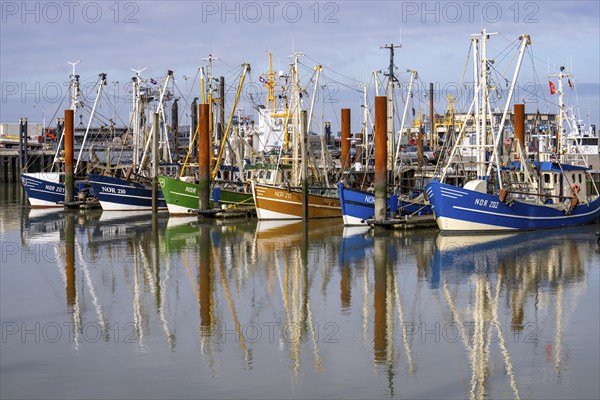 Fishing boats, shrimp boats in the harbour of Norddeich, Lower Saxony, Germany, Europe