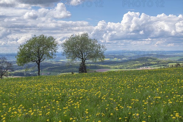 View from the Maulkuppe, mountain in the Hessian Rhön nature park Park, Hesse, Germany, Europe