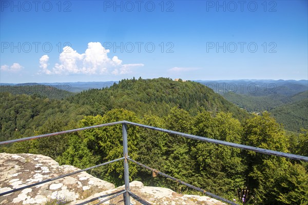 Cross-border castle hike in the Palatinate Forest-North Vosges biosphere reserve: View from