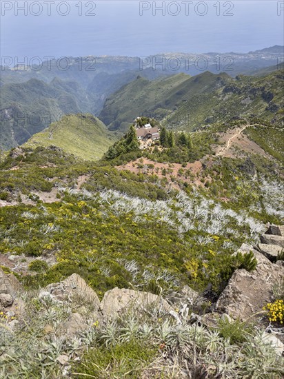 Hiking trail PR1 with view from Pico Ruivo to the Pico Ruivo hut, Madeira, Portugal, Europe