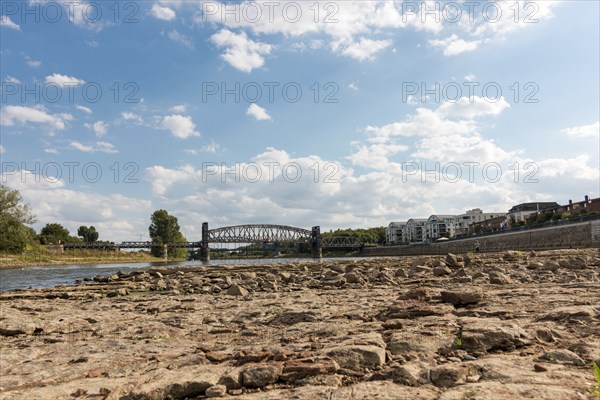 Dried-out riverbed of the Elbe, historic lift bridge, Magdeburg, Saxony-Anhalt, Germany, Europe