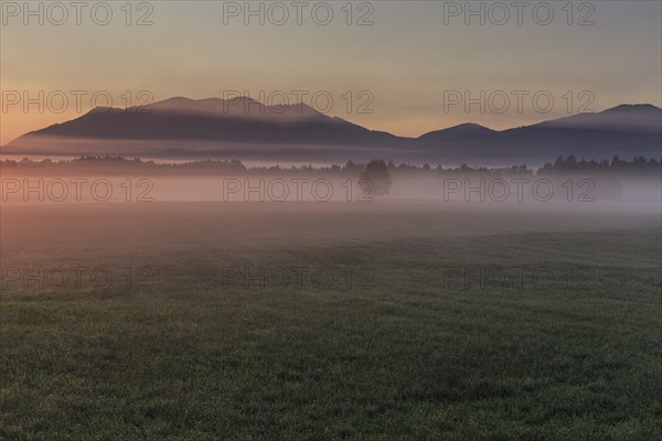 Foggy mood, morning light, mountains, summer, Loisach-Lake Kochel moor, behind Zwiesel, Alpine