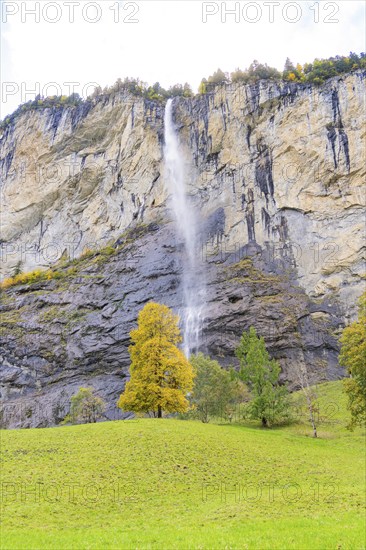A waterfall flows down from high rocks, surrounded by trees in autumnal colours, Lauterbrunnen,