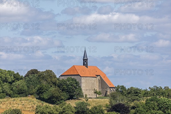 Former monastery church, church, Wittenburg, Elze, Lower Saxony, Germany, Europe