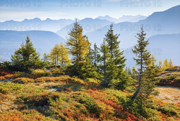 View of the Valais mountains in autumn, Lower Valais, Switzerland, Europe