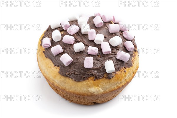 Homemade glazed and decorated chocolate easter pie isolated on a white background. Side view, close