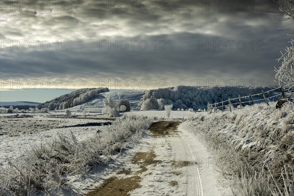 Path on Aubrac plateau in winter. Lozere. Occitanie. France