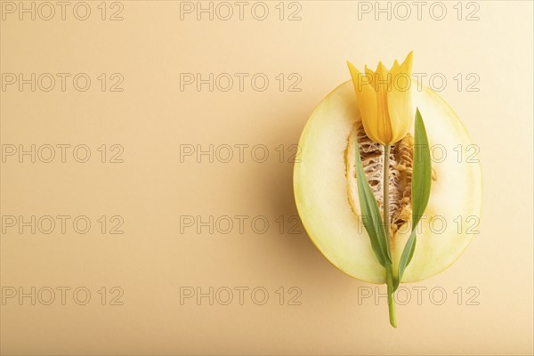 Sliced ripe yellow melon and tulip flower on orange pastel background. Top view, flat lay, copy