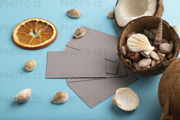 Gray paper business card with coconut and seashells on blue pastel background. Side view, copy