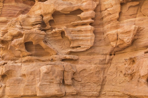 Natural texture of red rocks. Colored canyon, Egypt, desert, the Sinai Peninsula, Nuweiba, Dahab,