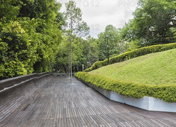Modern wooden bridge over the jungle park. singapore