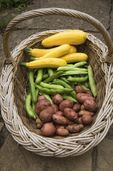 Wicker basket containing freshly grown vegetables, UK