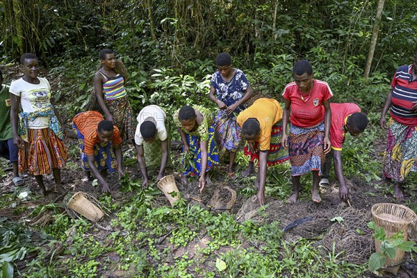 Pygmy woman of the Baka or BaAka people with their hunting nets, Dzanga-Sangha Special Dense Forest