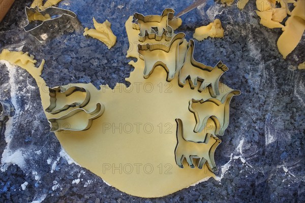 Swabian cuisine, Swabian Christmas biscuits, preparation of cookie cutters, shortbread biscuits,
