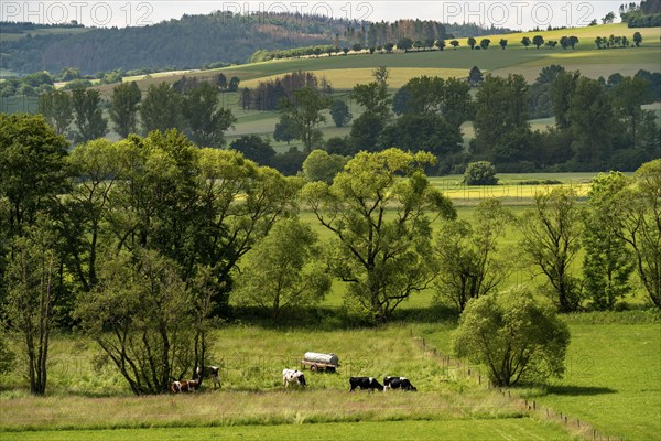 Landscape in the south of Lichtenfels, in Hesse, Germany, Europe