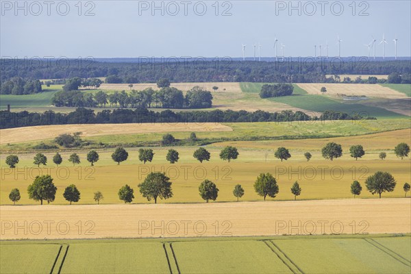 Fields near Liebschützberg ., Liebschützberg, Liebschütz, Saxony, Germany, Europe
