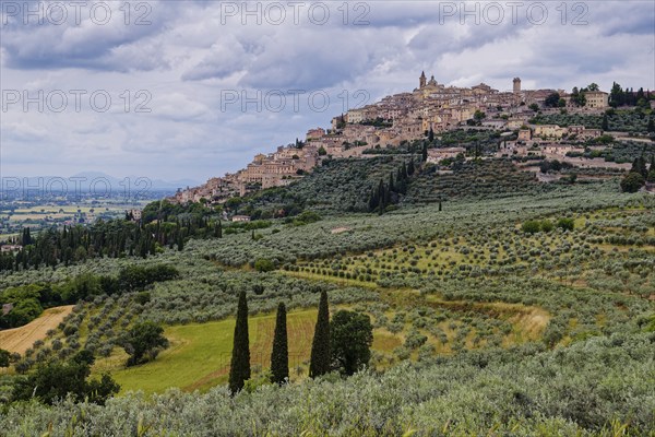 Trevi is a small Italian town in the province of Perugia in Umbria and a member of the association