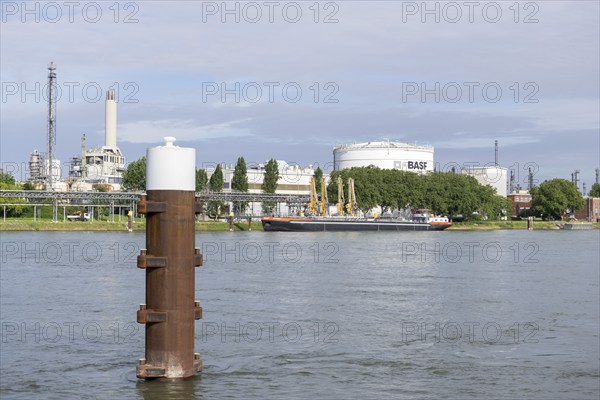 BASF, Lugwigshafen am Rhein, industrial area, Poller, Mannheim, Baden-Württemberg, Germany, Europe