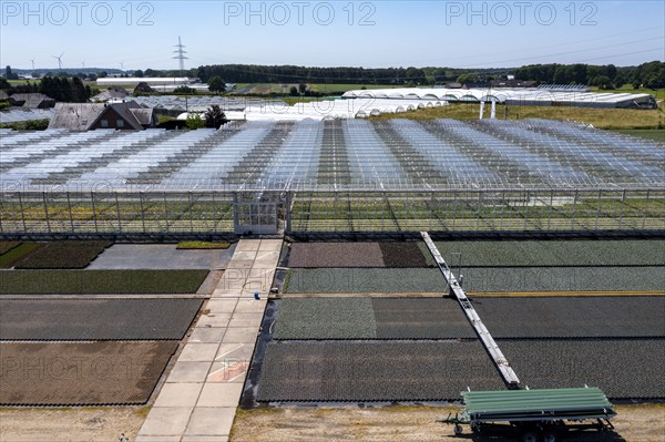 Horticultural business, irrigation with a sprinkler system, mobile on wheels in the open air,