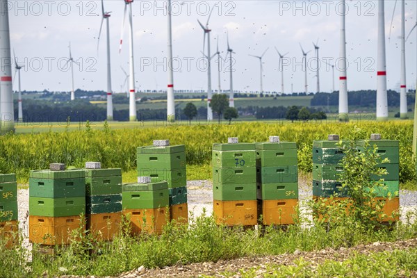 Wind farm north of Marsberg, many beehives at the foot of a wind turbine, Hochsauerlandkreis, North