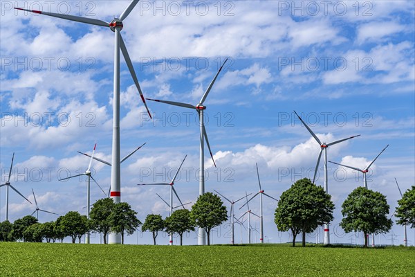 Wind farm near Marsberg, Nordex wind turbines, Baumallee, Hochsauerlandkreis, North