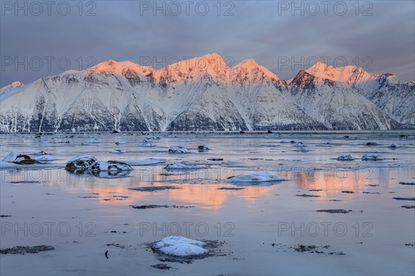 Morning light, mountains, snowy, reflection, sea, coast, fjord, winter, Lyngen Alps, Norway, Europe