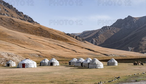 Yurts with yellow hills, Atbashy district in the Naryn region, Kyrgyzstan, Asia