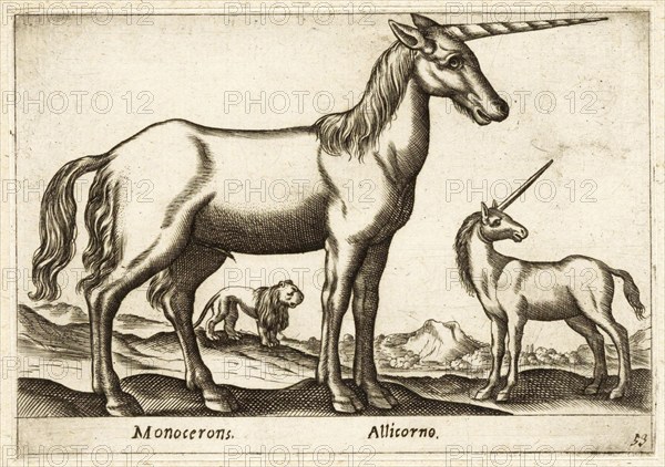 Mythical creature, unicorn, two unicorns and a lion, drawing by Antonio Tempesta (1555, 1630),