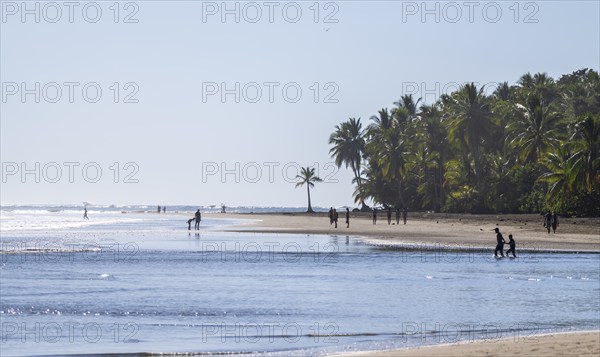 Marino Ballena National Park, South Pacific beach and sea, Puntarenas province, Osa, Costa Rica,