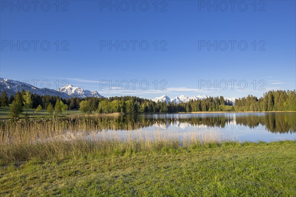 Hegratsrieder See near Füssen, Allgäu Alps, snow, Allgäu, Bavaria, Germany, Europe