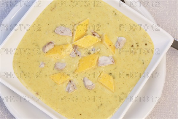 Swabian cuisine, brain soup with egg garnish, offal, calf's brain, regional, soup served in a bowl,