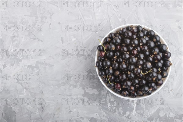 Fresh black currant in white bowl on gray concrete background. top view, flat lay, copy space