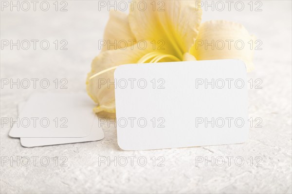 White paper business card mockup with orange day-lily flower on gray concrete background. Blank,