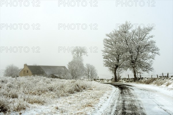 Aubrac plateau. Isolated farm in winter. Lozere department, Occitanie. France