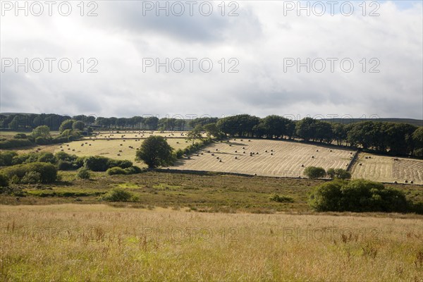 Straw bales in arable fields farming landscape Dartmoor national park, near Postbridge, Devon,