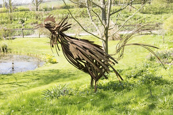 Iron cockerel sculpture, pond, wildflowers in garden of Manor Farm, Huish, Vale of Pewsey,