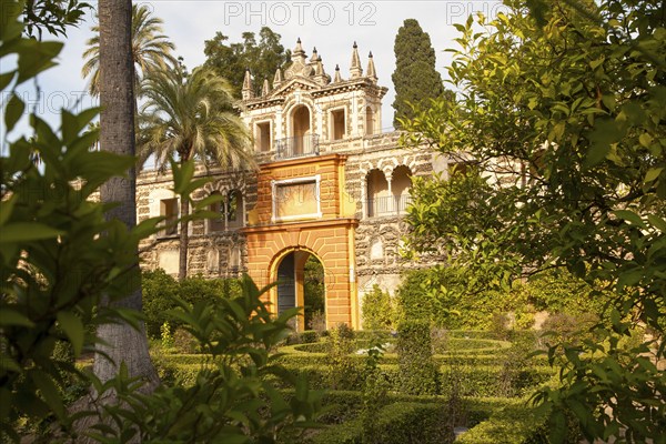 Gardens of the Alcazar palaces, Seville, Spain, Europe