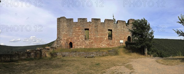 The ruins of Wolfsburg Castle above Neustadt an der Weinstraße