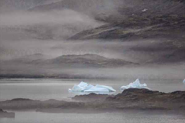 Icebergs in a fjord in the fog, mountainous, Tasiilaq, East Greenland, Greenland, North America