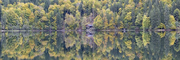 Freibergsee lake in autumn, near Oberstdorf, with the Allgäu Alps behind it, Allgäu, Bavaria,