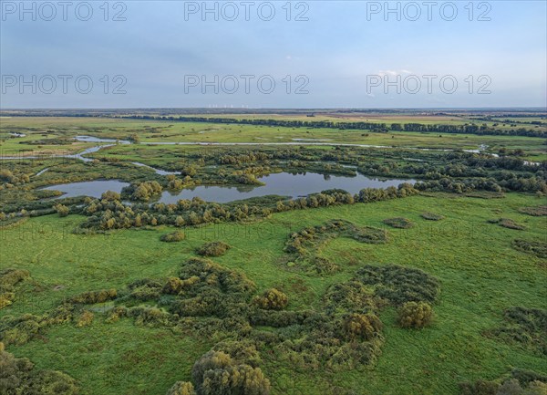 The Warta Estuary National Park, Park Narodowy Ujscie Warty, where the Warta flows into the Oder.